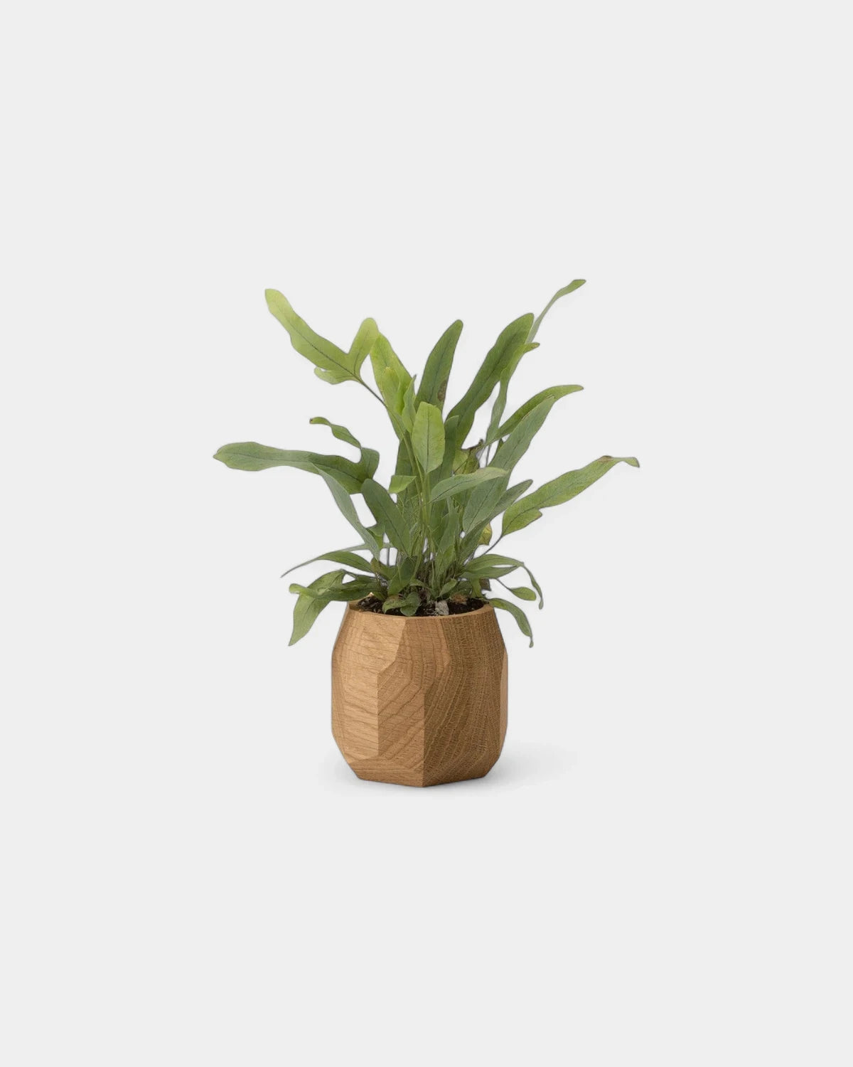 pot-a-stylo-personnalisable2