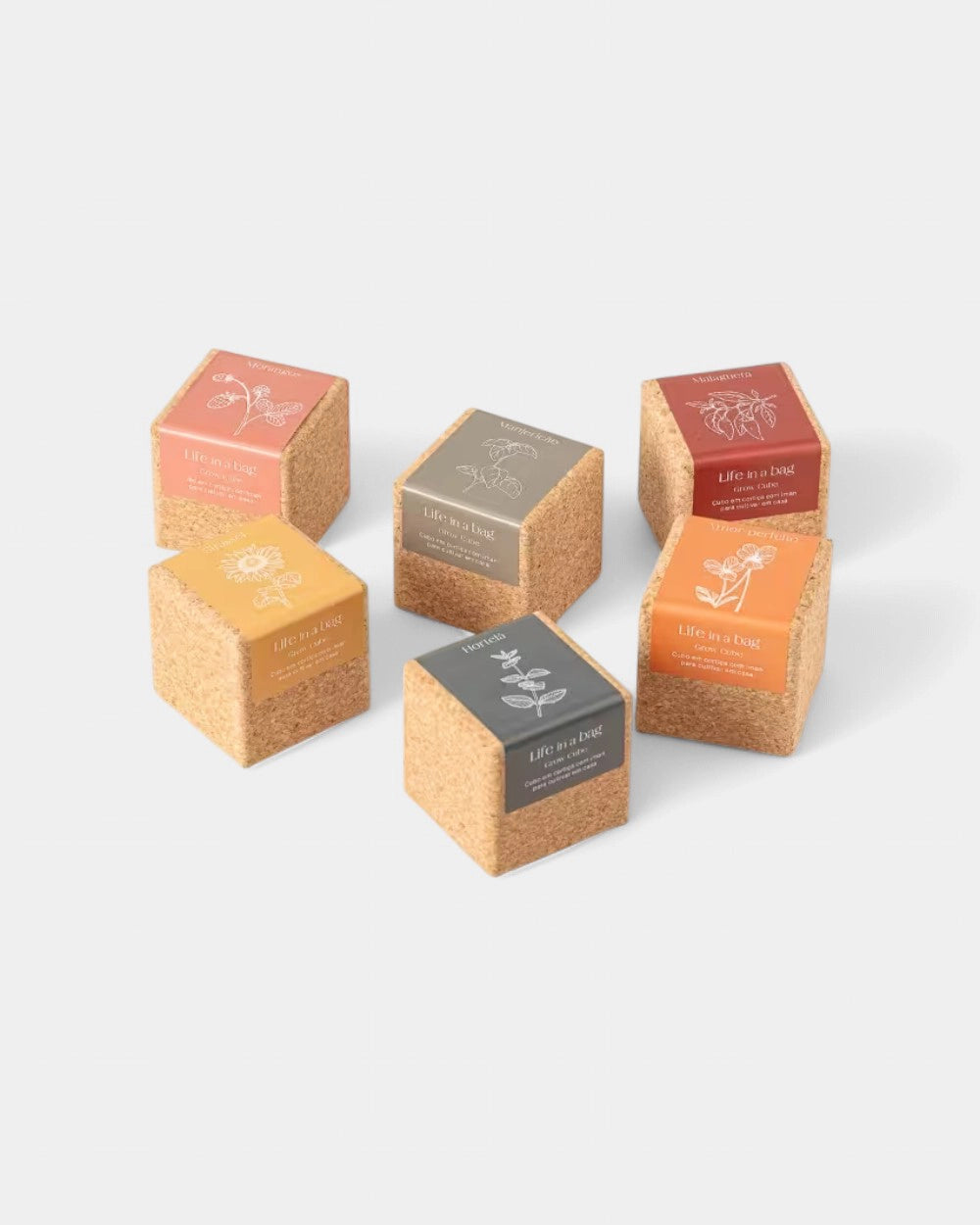 Grow cube personnalisable - 3