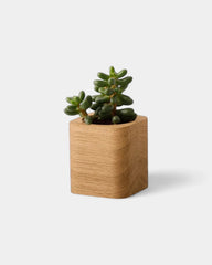 pot-cubique-en-bois-a-personnaliser11