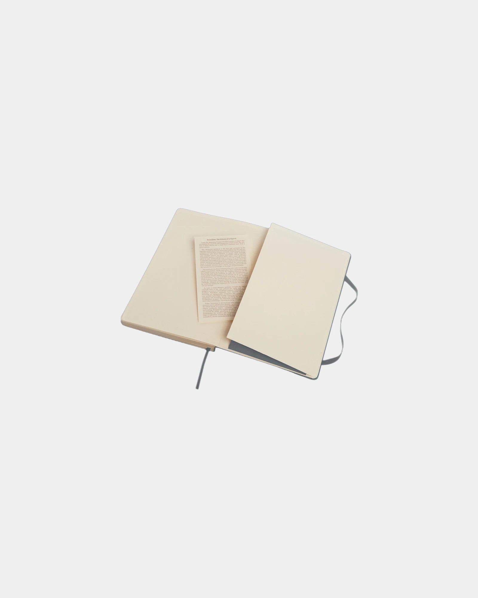 Carnet Moleskine Classic L à personnaliser - 8