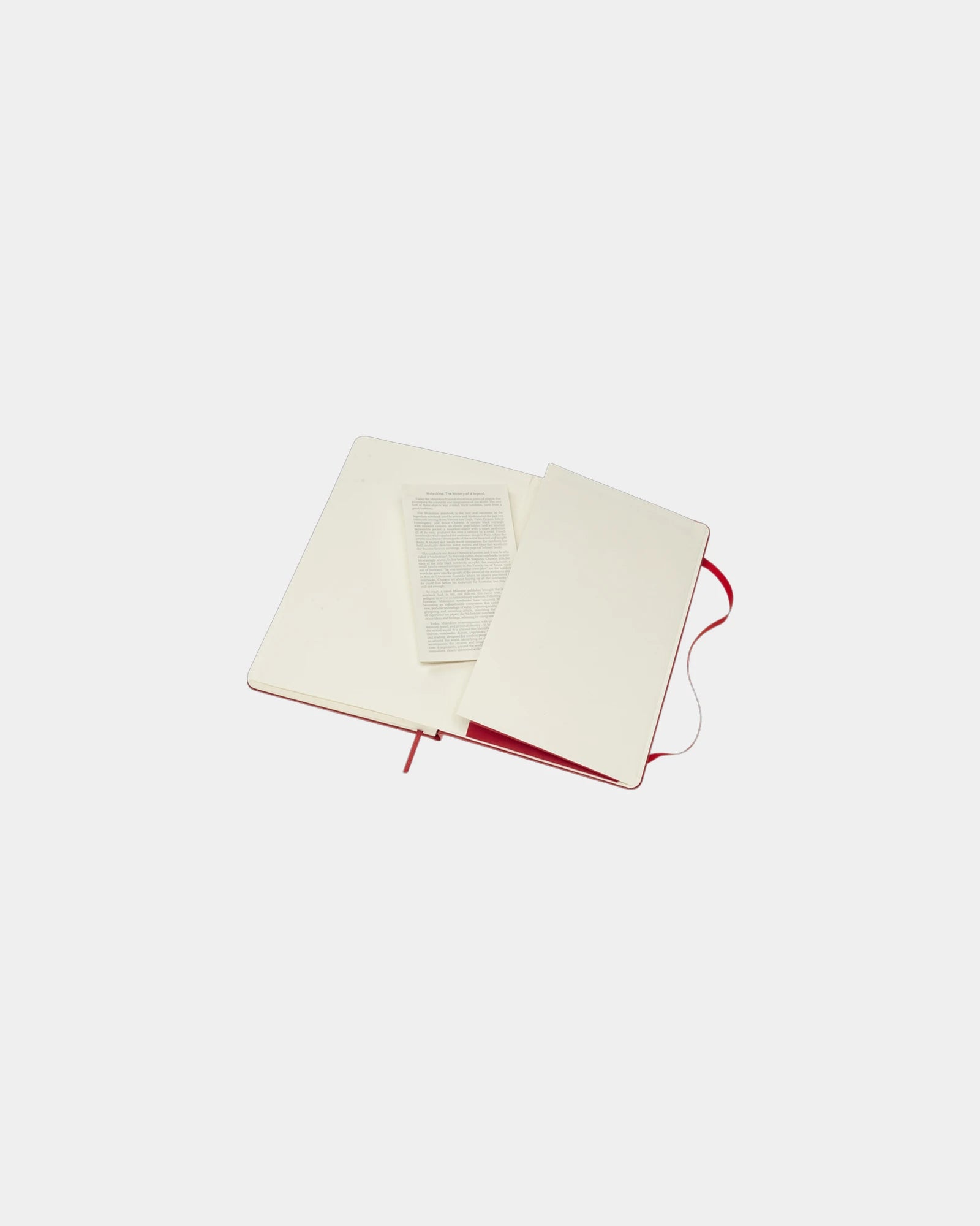 Carnet Moleskine Classic L à personnaliser - 25