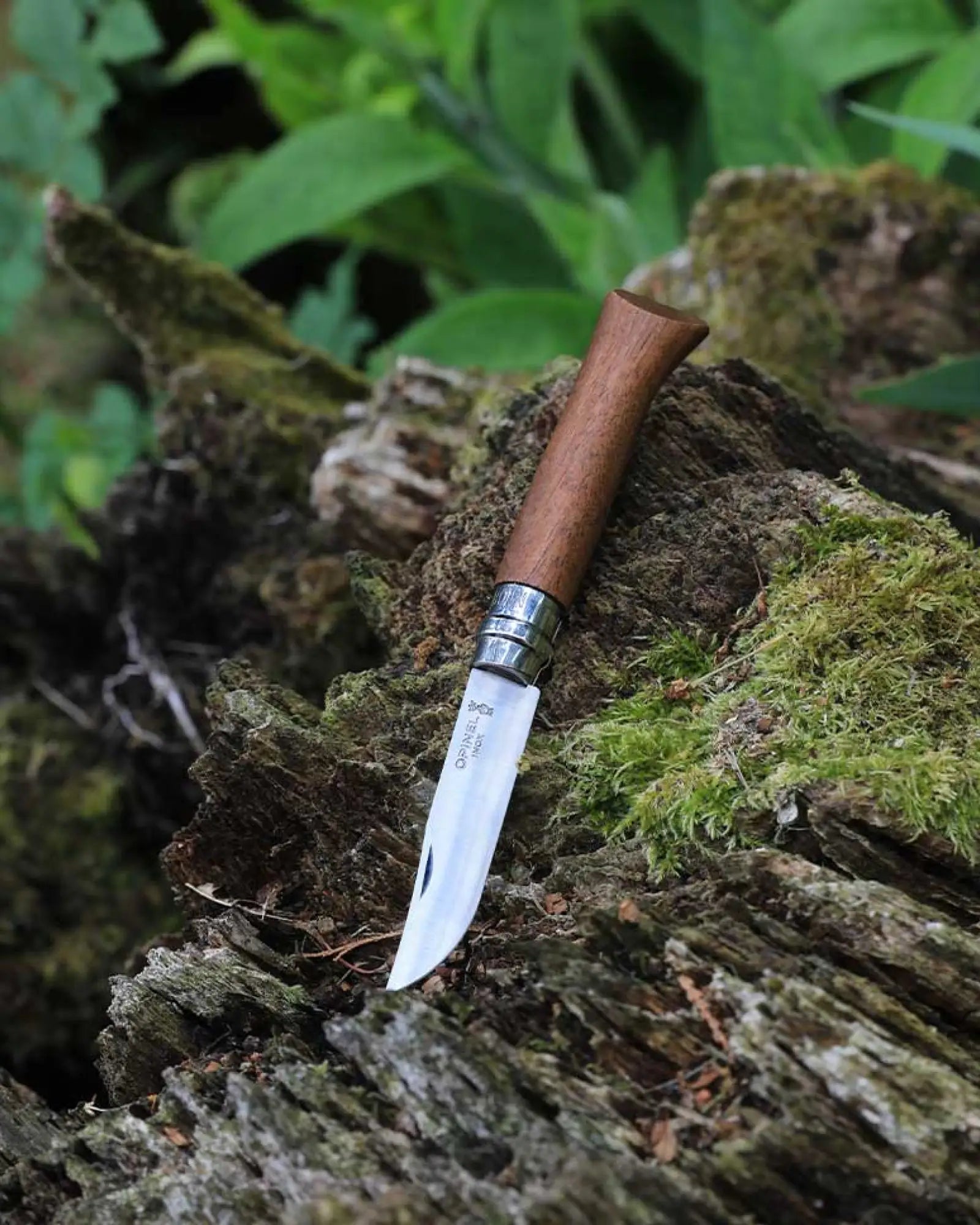 Couteau acier inoxydable Opinel N°09 Chêne à personnaliser - 7
