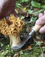 Couteau à champignon acier inoxydable Opinel N°08 à personnaliser - 3