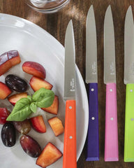 Coffret de 4 couteaux de table acier inox Opinel N°125 à personnaliser - 2