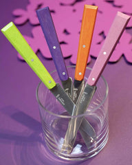 Coffret de 4 couteaux de table acier inox Opinel N°125 à personnaliser - 4