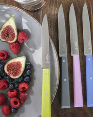 Coffret de 4 couteaux de table Opinel N°125 à personnaliser - 4