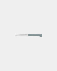 Couteau de table acier inoxydable Opinel Bon Appétit à personnaliser - Green