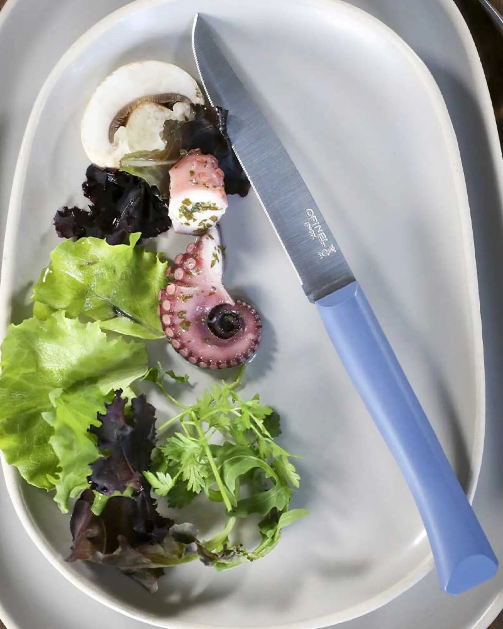 Couteau de table acier inoxydable Opinel Bon Appétit à personnaliser - 6