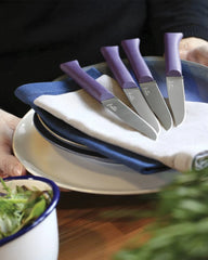 Couteau de table acier inoxydable Opinel Bon Appétit à personnaliser - 11