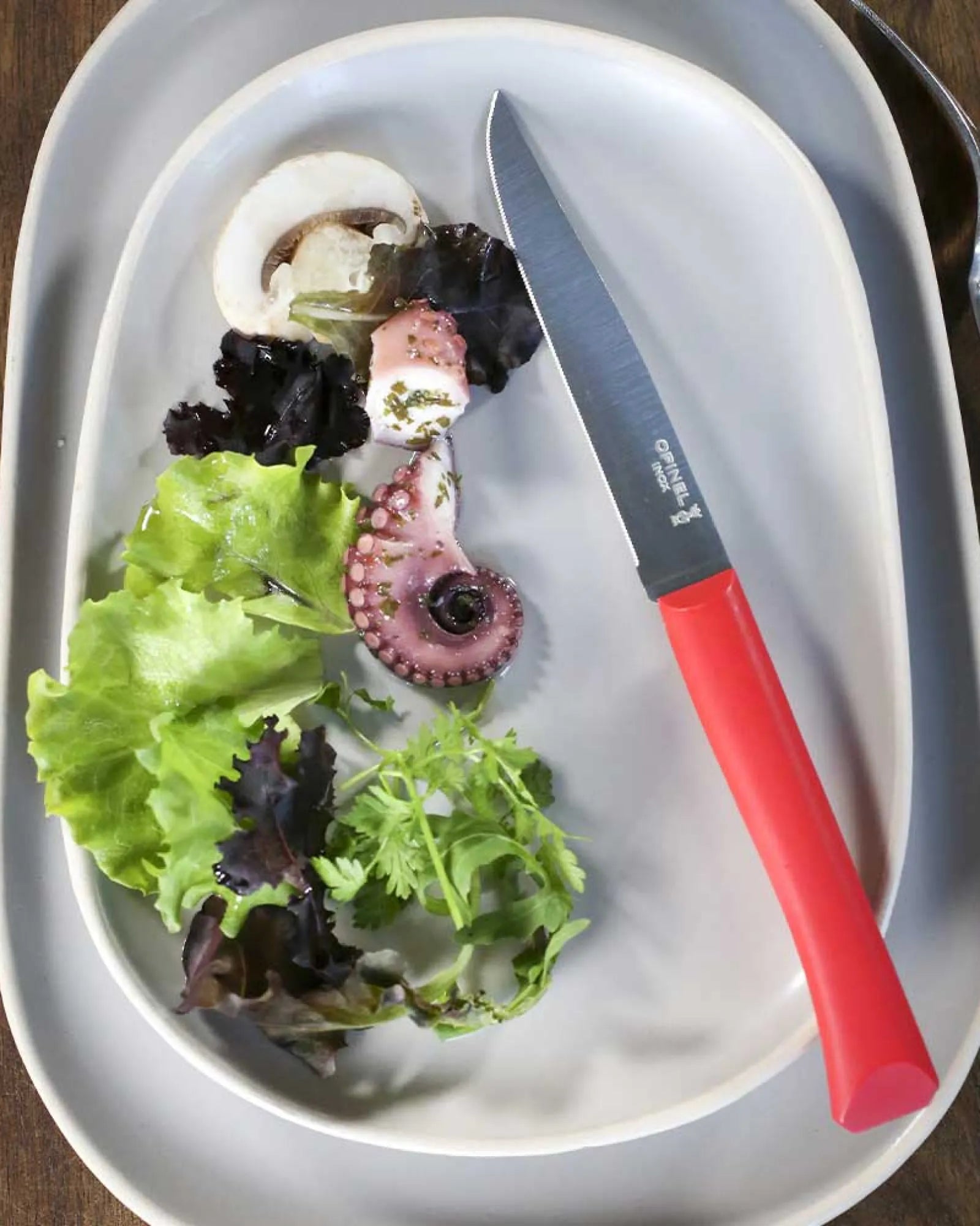 Couteau de table acier inoxydable Opinel Bon Appétit à personnaliser - 7