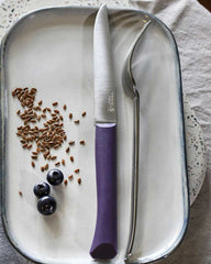Couteau de table acier inoxydable Opinel Bon Appétit à personnaliser - 10