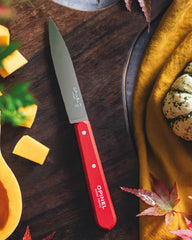 Couteau de cuisine inox Opinel Office N°112 à personnaliser - 3