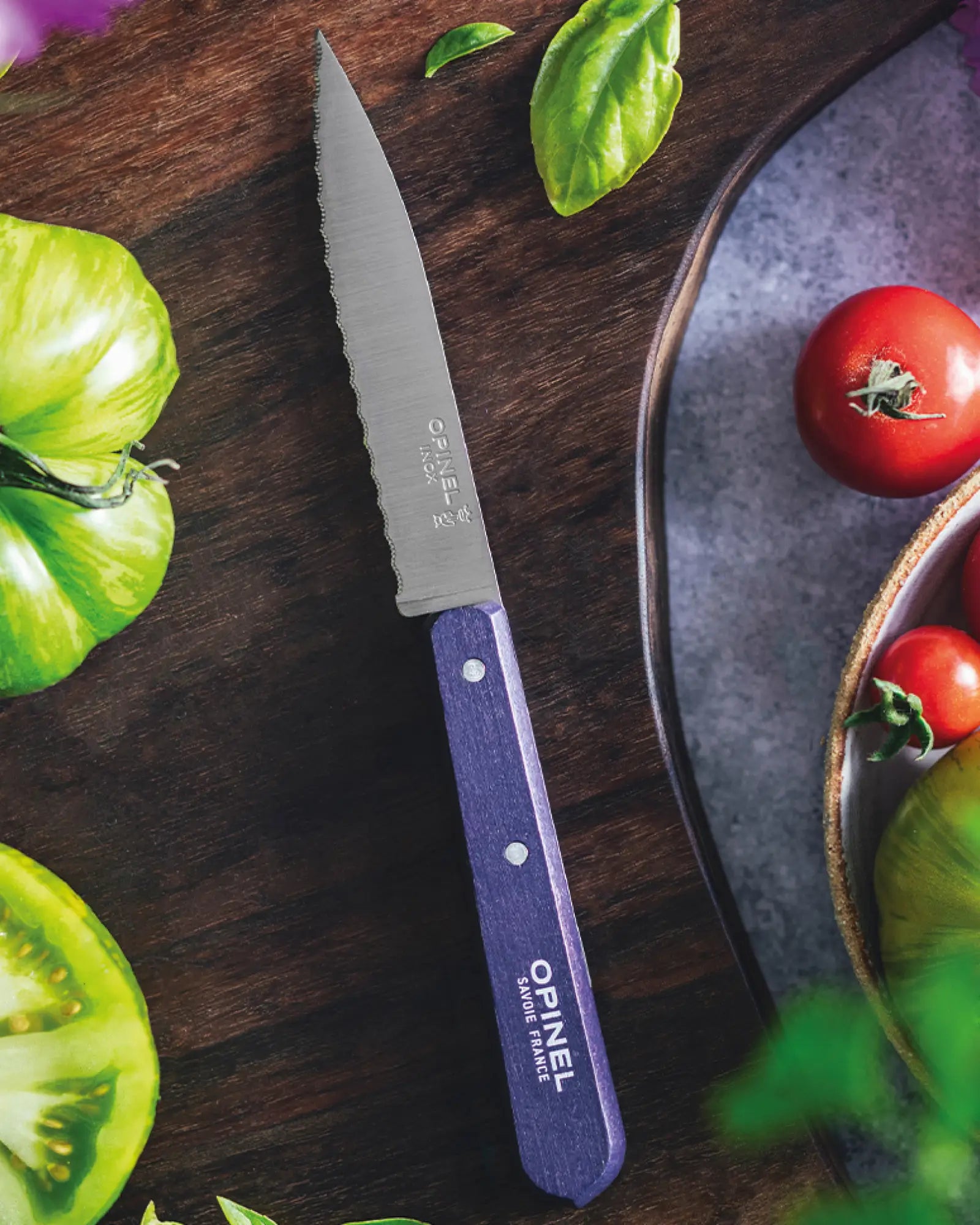 Couteau inox éco-responsable Opinel Cranté N°113 à personnaliser - 6