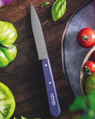 Couteau inox éco-responsable Opinel Cranté N°113 à personnaliser - 6