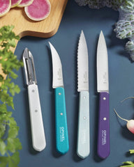 Coffret inox martensitique Opinel à personnaliser - 2