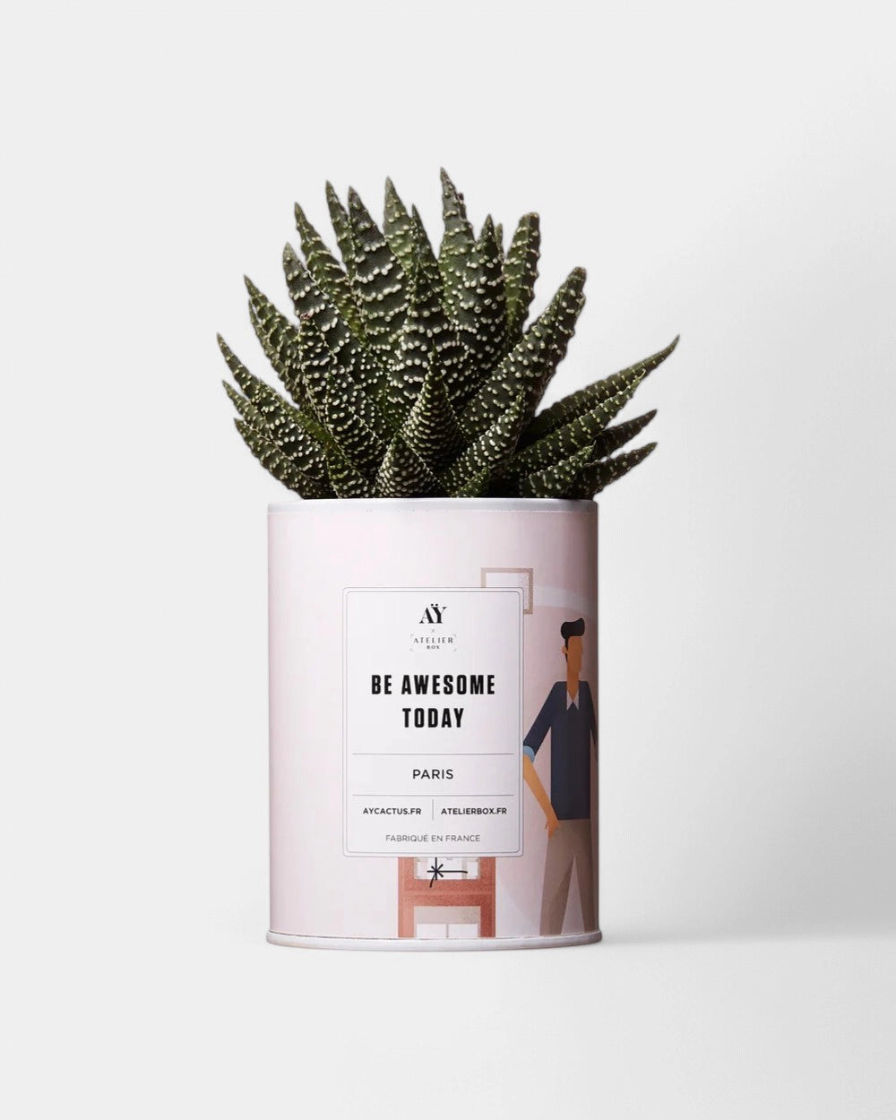 Cactus 100% Personnalisable - Ay Cactus - 2