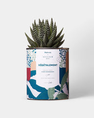 Cactus 100% personnalisable Diaiwaie - 4
