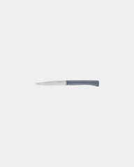 Coffret de 4 couteaux de table inox Opinel Bon Appétit à personnaliser - 1
