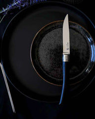 Couteaux de table acier inoxydable Opinel Facette à personnaliser - 4