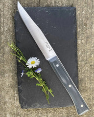 Coffret de 4 couteaux de table Facette Frêne Opinel à personnaliser - 20