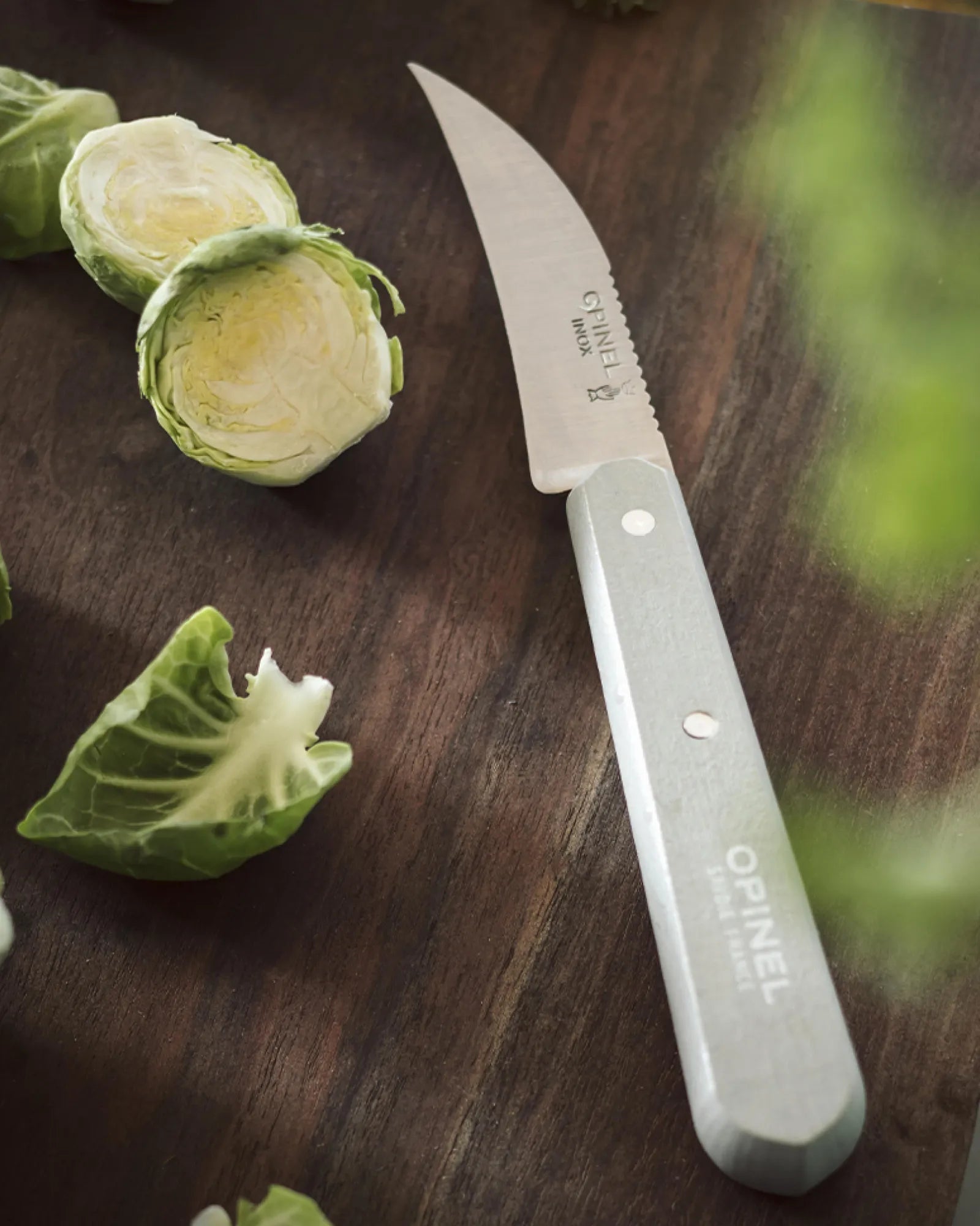 Coffret Les Essentiels Primo acier inoxydable Opinel à personnaliser - 6