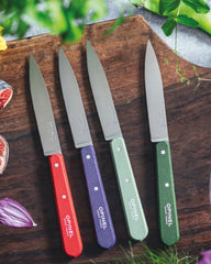 Coffret de 4 couteaux Opinel N°112 à personnaliser - 2