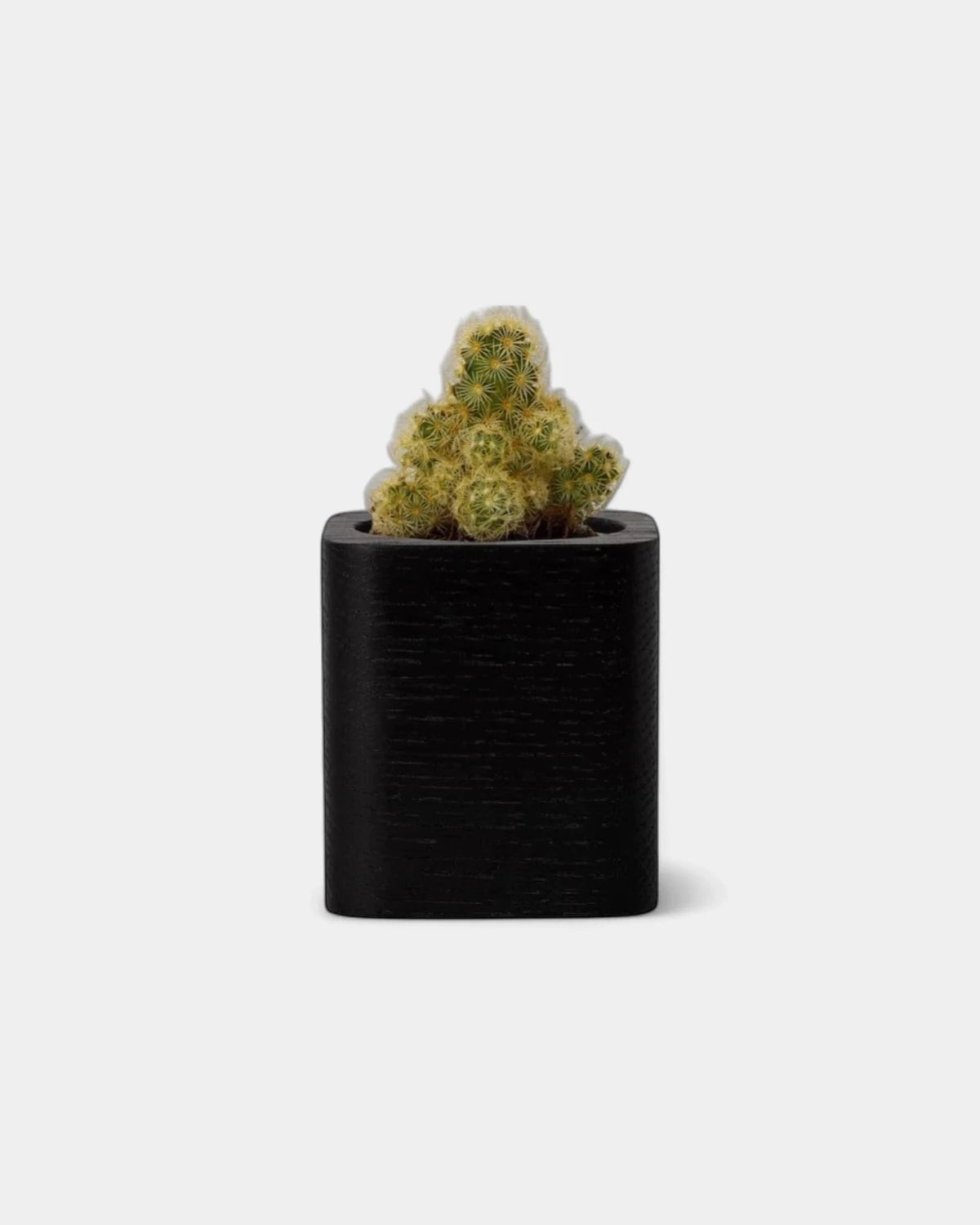 pot-cubique-en-bois-a-personnaliser5