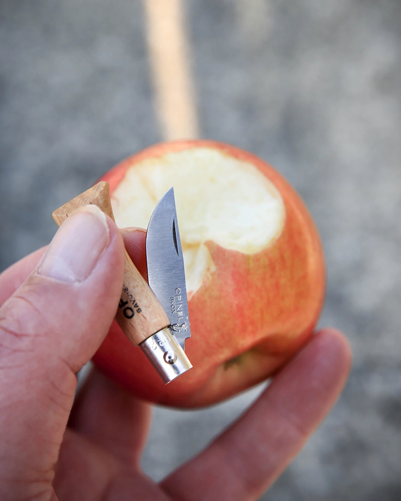Couteau inox Opinel N°02 à personnaliser - 3