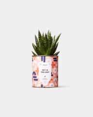 Cactus 100% personnalisable Diaiwaie - 3