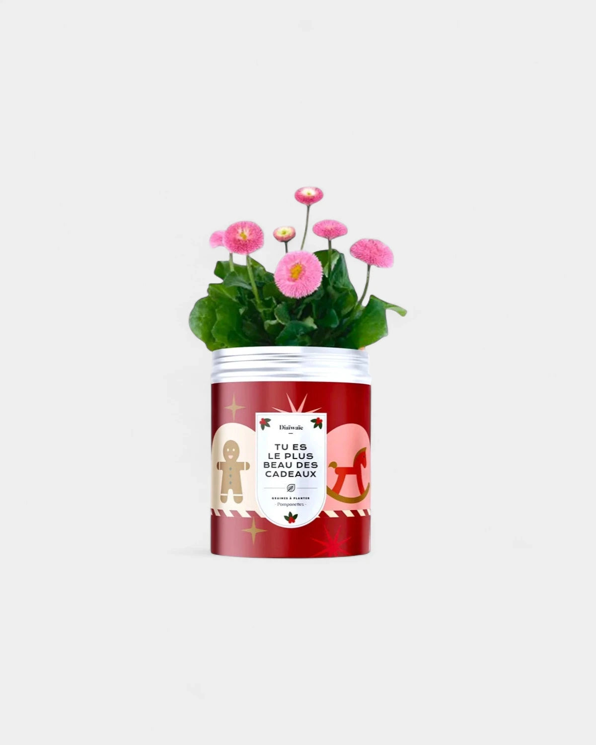 Kits de graines à planter personnalisable