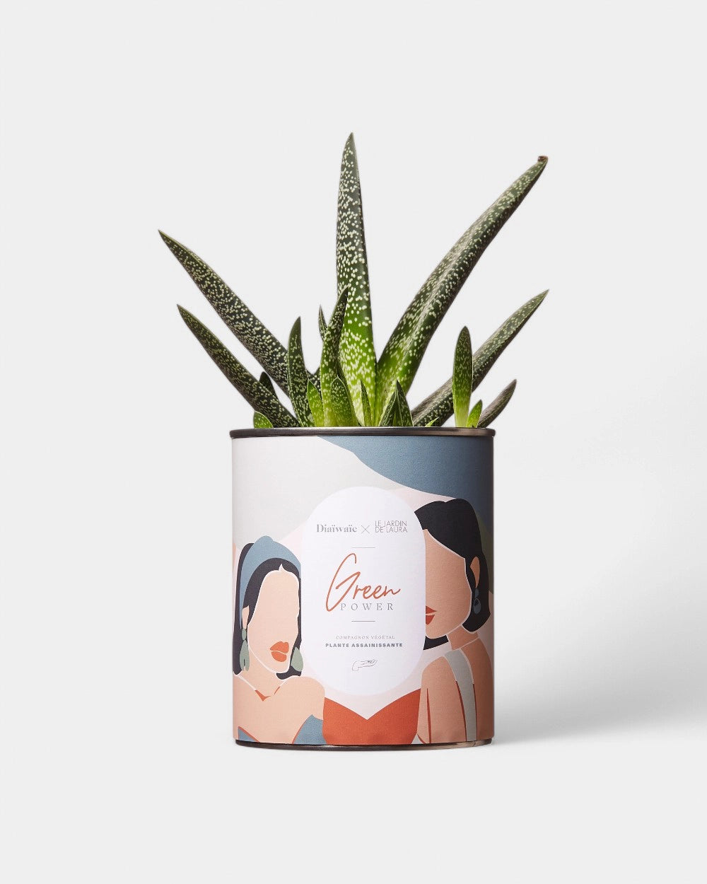 Cactus 100% personnalisable Diaiwaie - 6