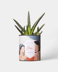 Cactus 100% personnalisable Diaiwaie - 6