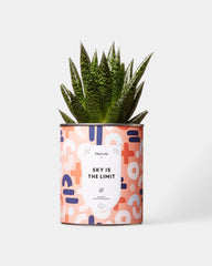Cactus 100% personnalisable Diaiwaie - 7