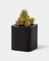 Pot cubique à personnaliser - 20