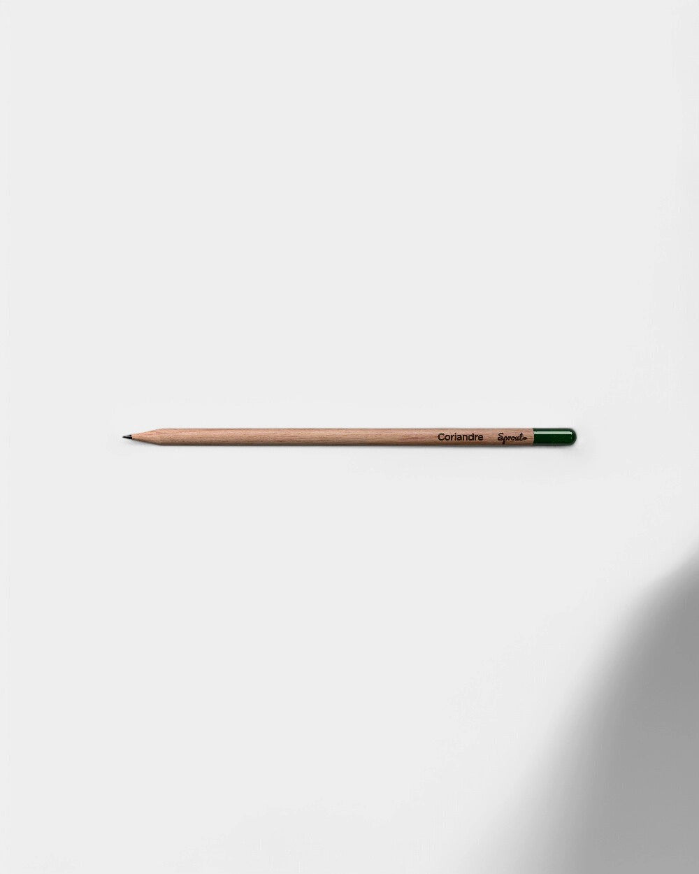 Crayon à planter éco-responsable personnalisable - 3
