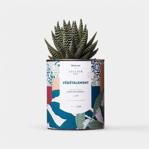 plantes personnalisables