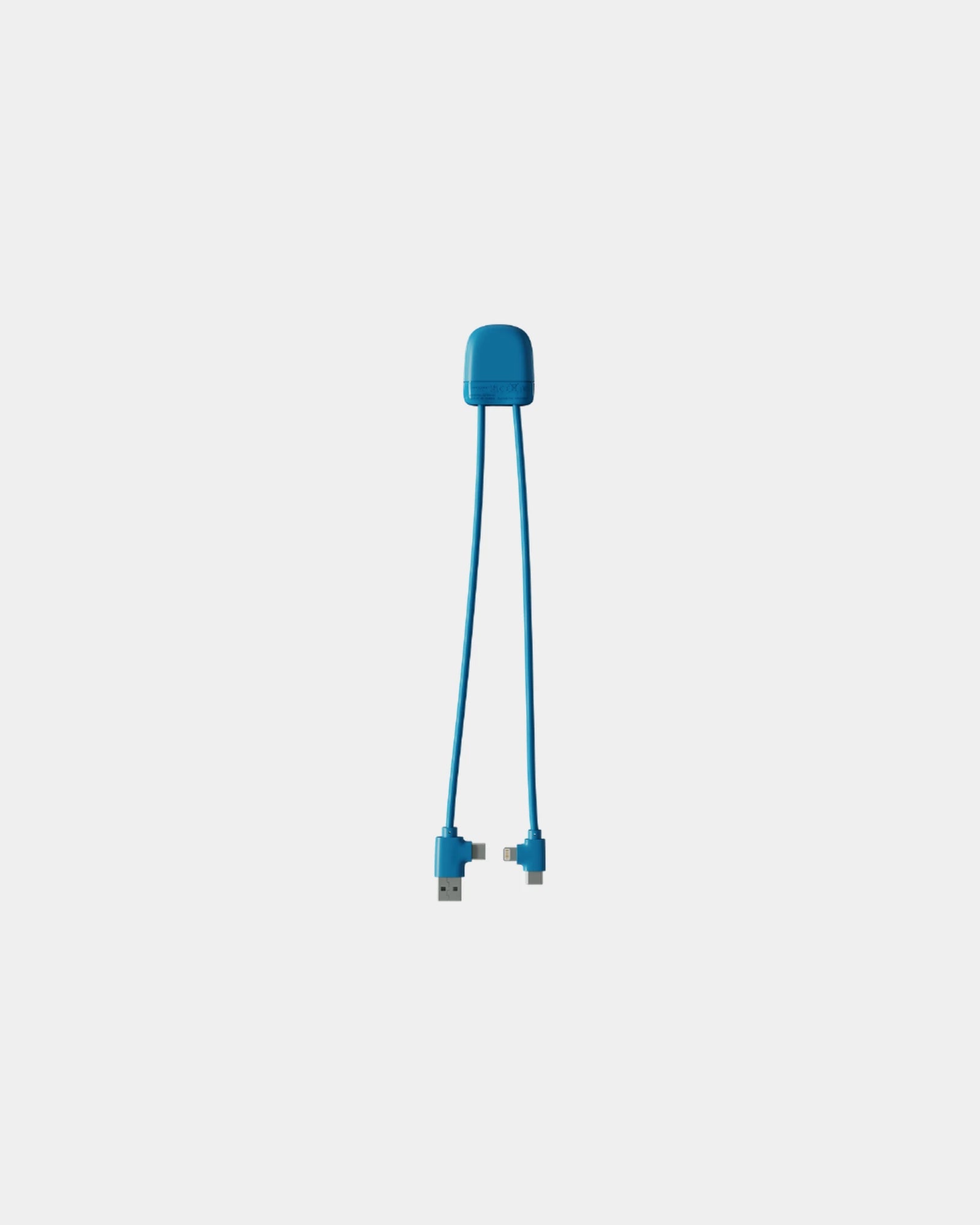 Câble de charge USB et USB-C à personnaliser - Bleu