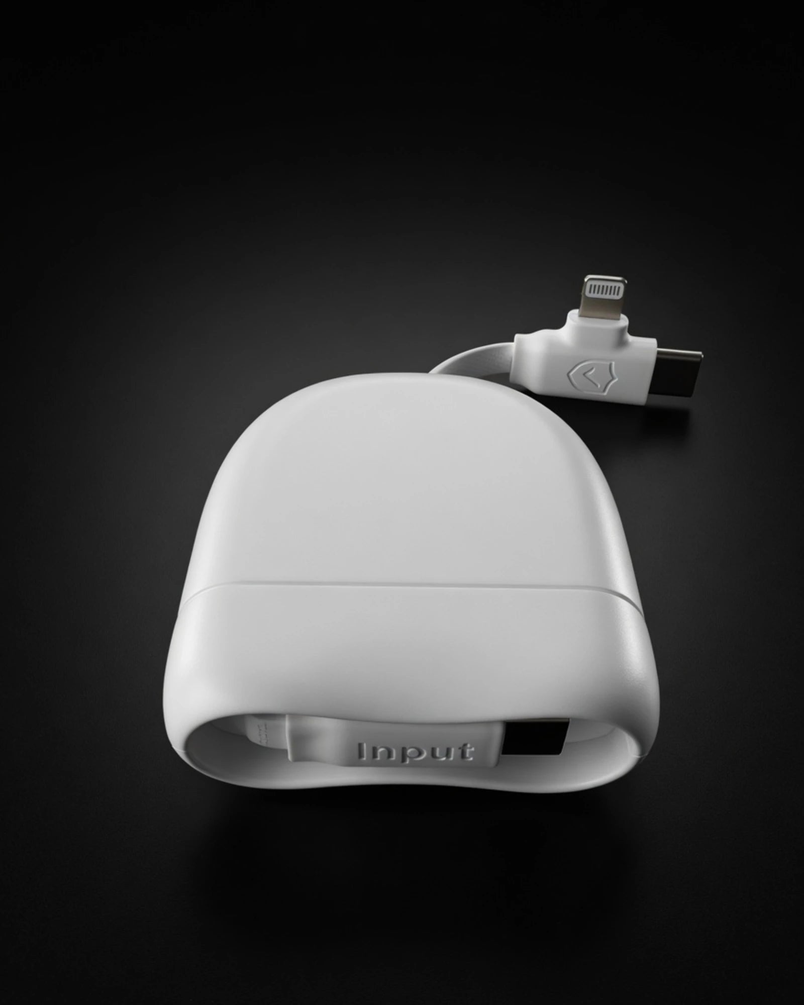 Câble de charge USB-C et Lightning à personnaliser - 3