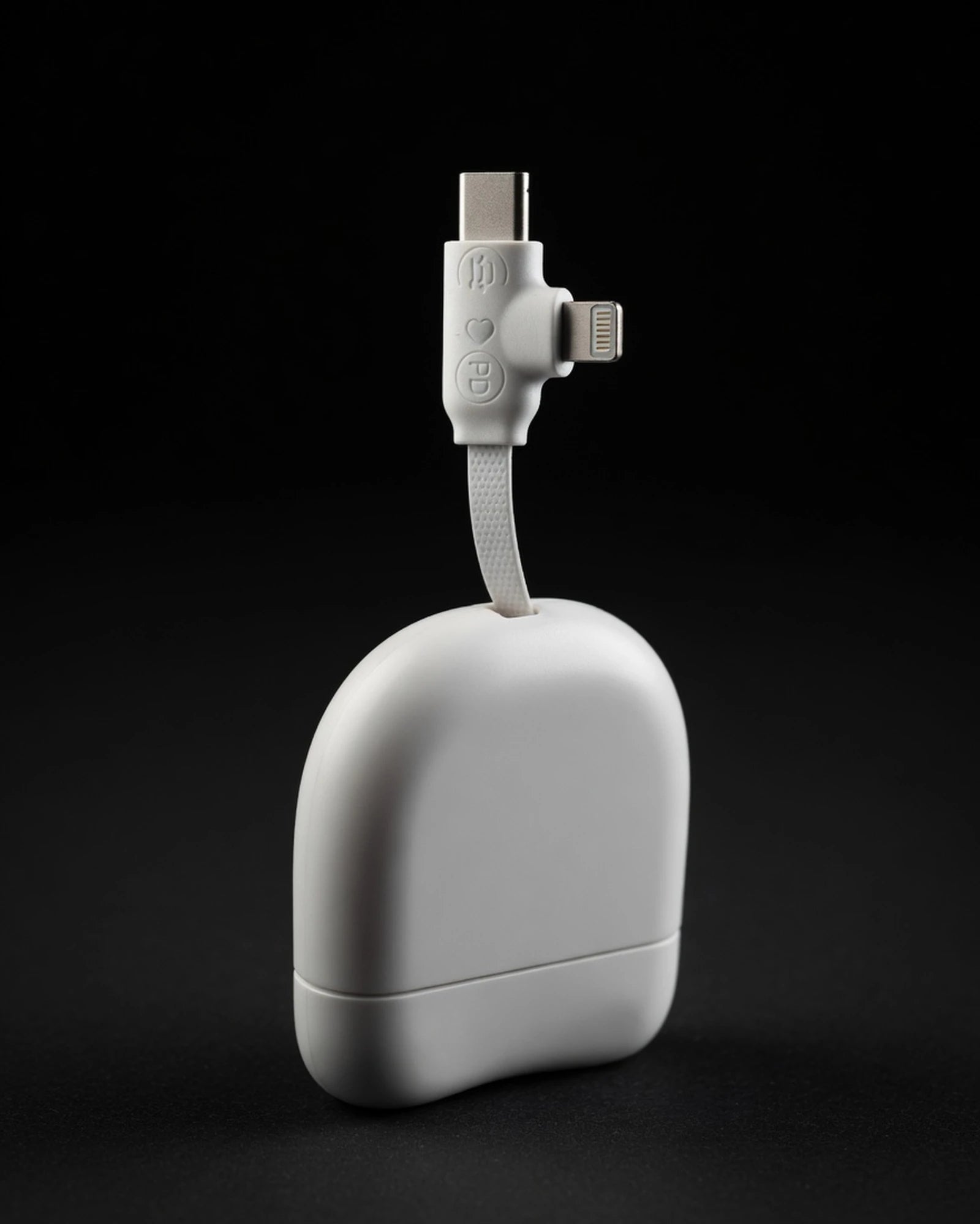 Câble de charge USB-C et Lightning à personnaliser - 2