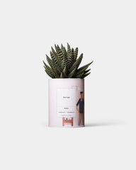 Cactus 100% Personnalisable - Ay Cactus - 1