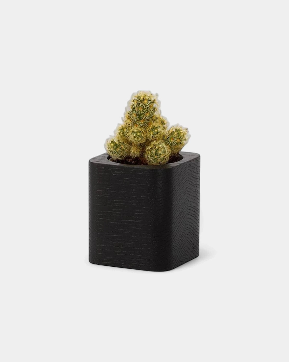 pot-cubique-en-bois-a-personnaliser8