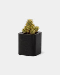 pot-cubique-en-bois-a-personnaliser8