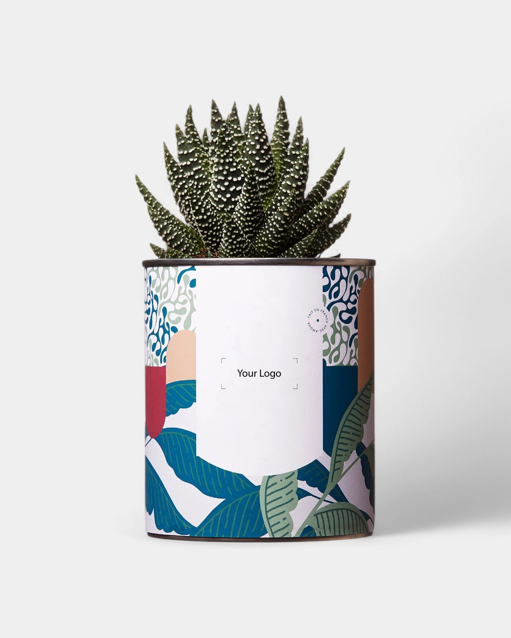Cactus 100% personnalisable Diaiwaie - 5
