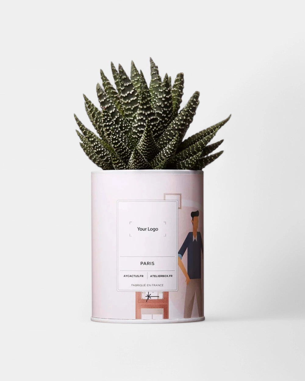 Cactus 100% Personnalisable - Ay Cactus - 3