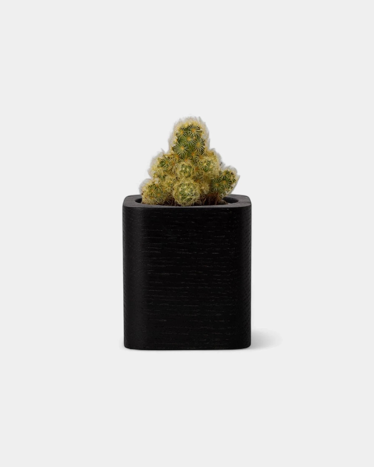 pot-cubique-en-bois-a-personnaliser17