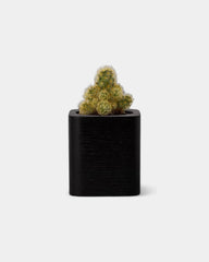 pot-cubique-en-bois-a-personnaliser17