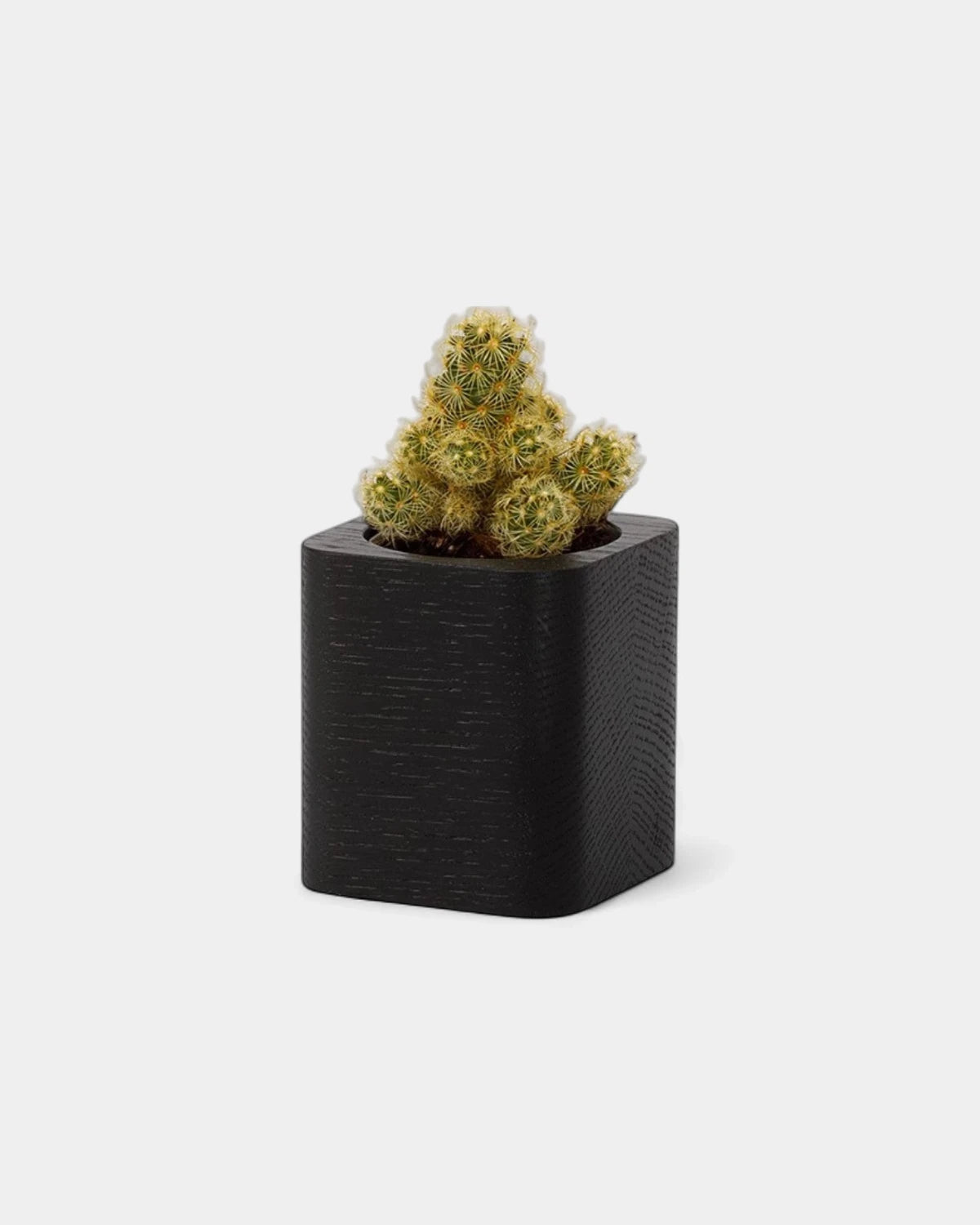 pot-cubique-en-bois-a-personnaliser20