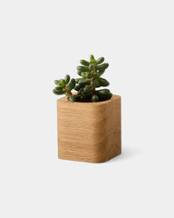 Pot cubique à personnaliser - 11