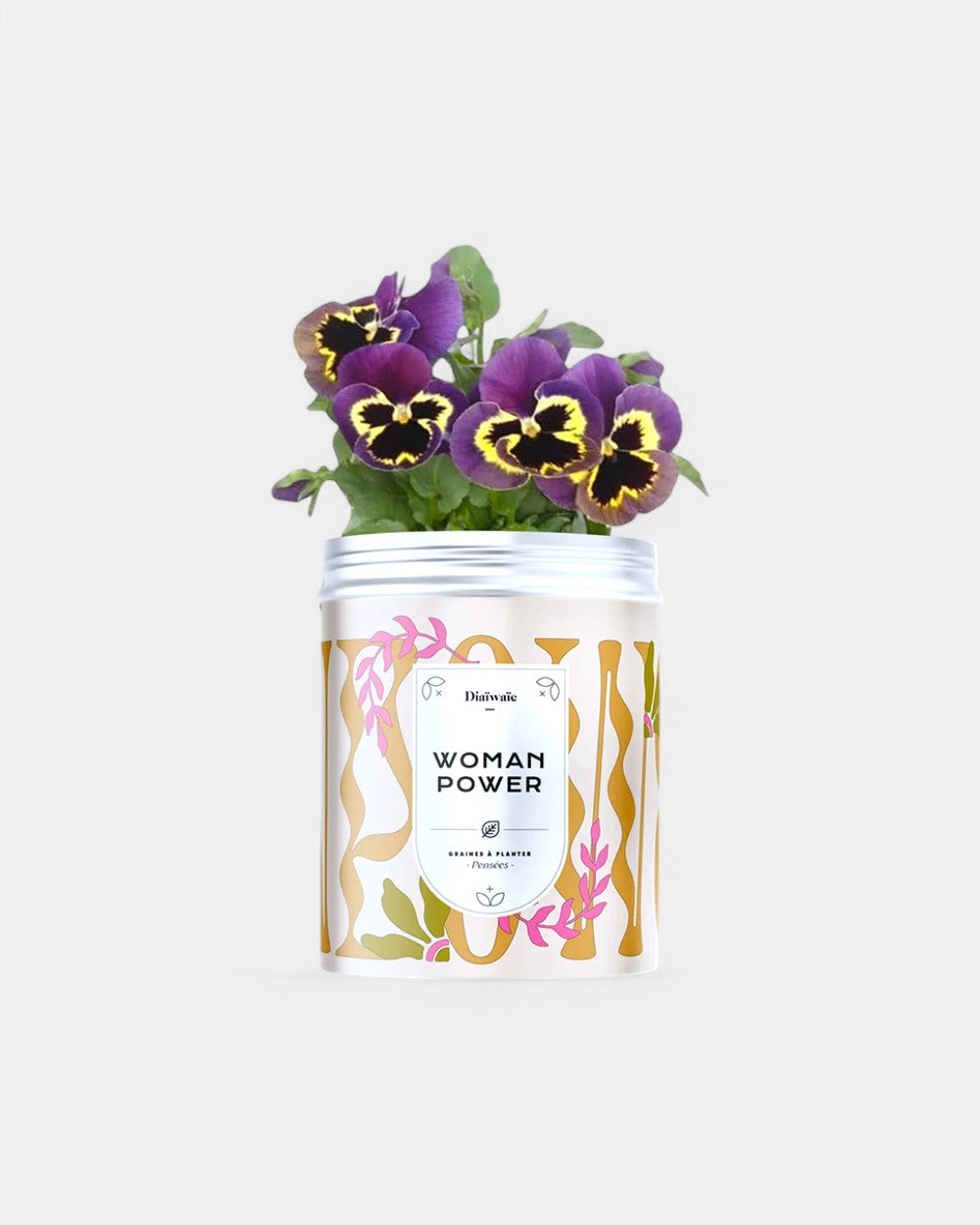 Kits de graines à planter personnalisable - 6