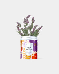 Kits de graines à planter personnalisable - 7